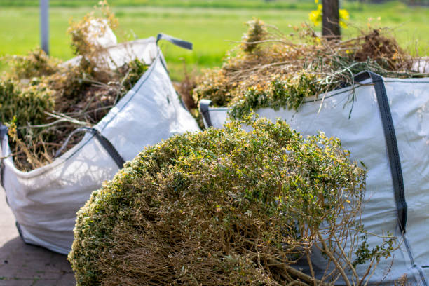 Best Dumpster Rental Services  in New Hope, OR